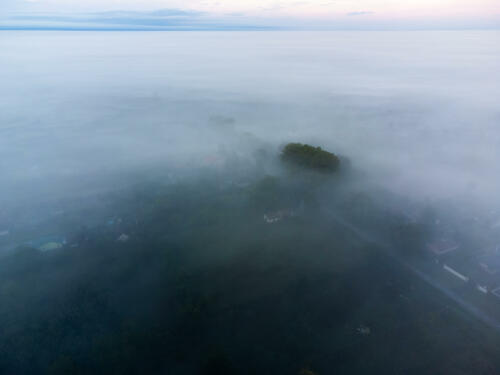 Trees poking through fog